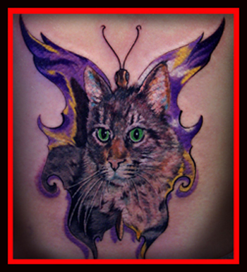 Tattoos - BUTTERFLYING CAT !! - 21304